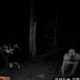 Illustration for article titled Is the Louisiana forest monster Super 8 viral marketing?
